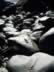Dark Rocks -Gamrie.jpg (109kb)